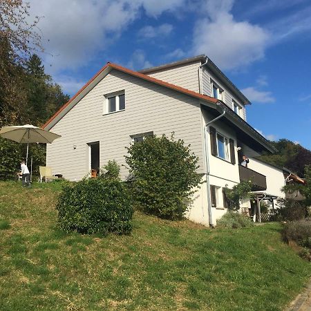 Alpenpanorama Am Hochrhein Villa ไกลิงเงน ภายนอก รูปภาพ