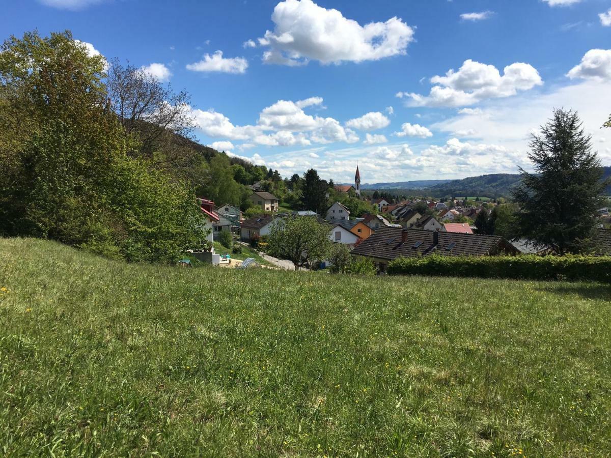 Alpenpanorama Am Hochrhein Villa ไกลิงเงน ภายนอก รูปภาพ
