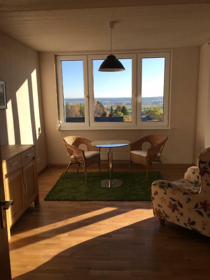 Alpenpanorama Am Hochrhein Villa ไกลิงเงน ภายนอก รูปภาพ