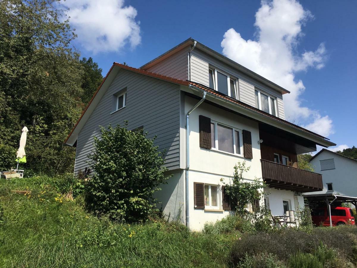 Alpenpanorama Am Hochrhein Villa ไกลิงเงน ภายนอก รูปภาพ