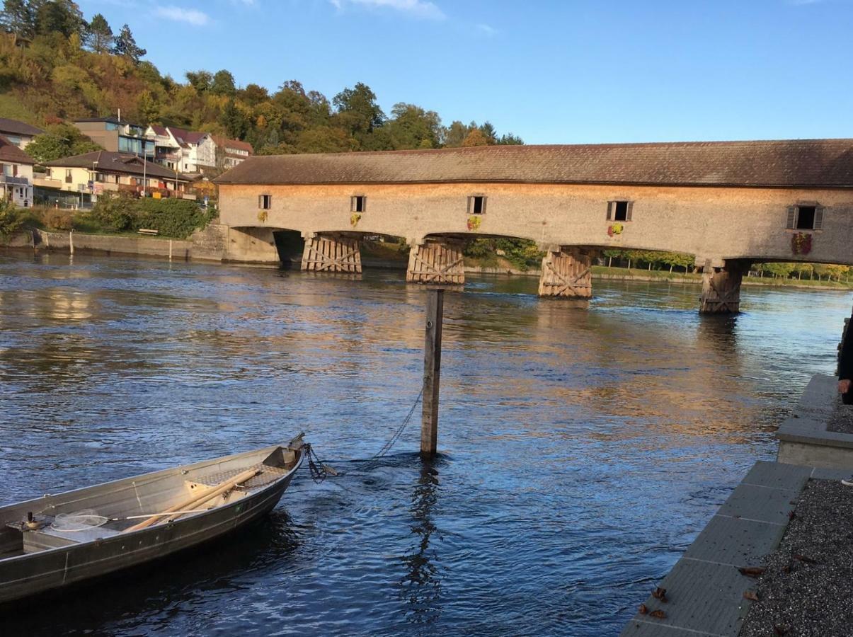 Alpenpanorama Am Hochrhein Villa ไกลิงเงน ภายนอก รูปภาพ